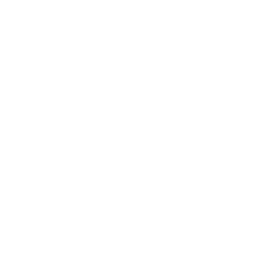 Optical Image