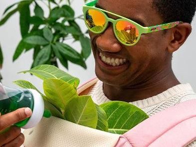 PHG's - Need For Seed