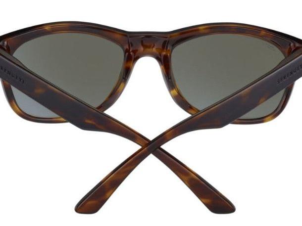 Chandler - Shiny Tortoise