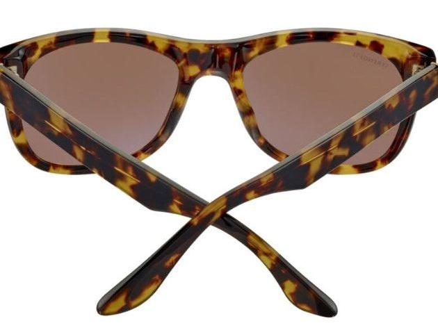 Foyt Large - Shiny Tortoise Havana