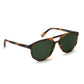 BRANDO - Matte Hickory Polarized