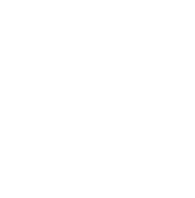 Optical Image logo