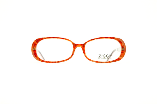 Ziggy 1381