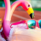 OG's - Flamingos on a Booze Cruise