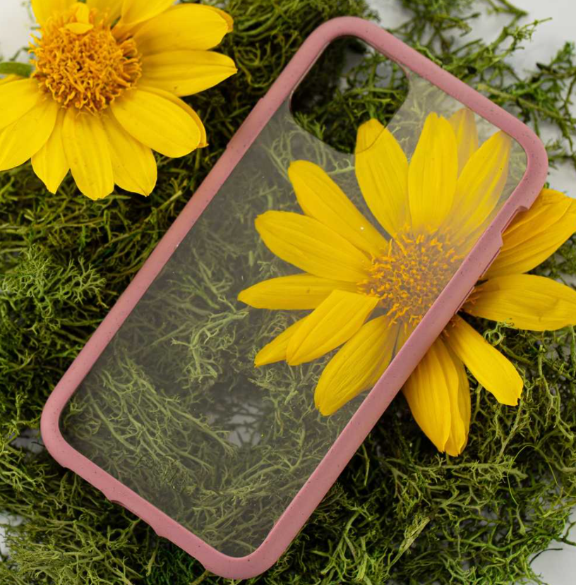 Clear Eco-Friendly iPhone 11 Case with Cassis Ridge